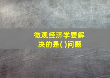 微观经济学要解决的是( )问题